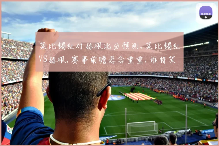 莱比锡红对赫根比分预测,莱比锡红VS赫根,赛事前瞻悬念重重,谁将笑到最后