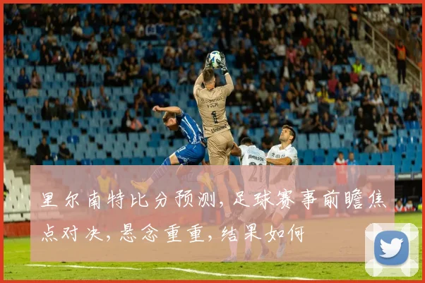 里尔南特比分预测,足球赛事前瞻焦点对决,悬念重重,结果如何